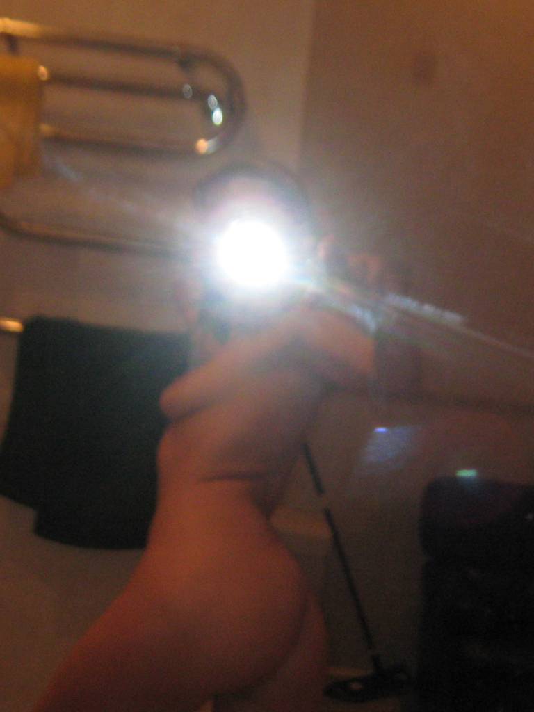 Photo de Merle
